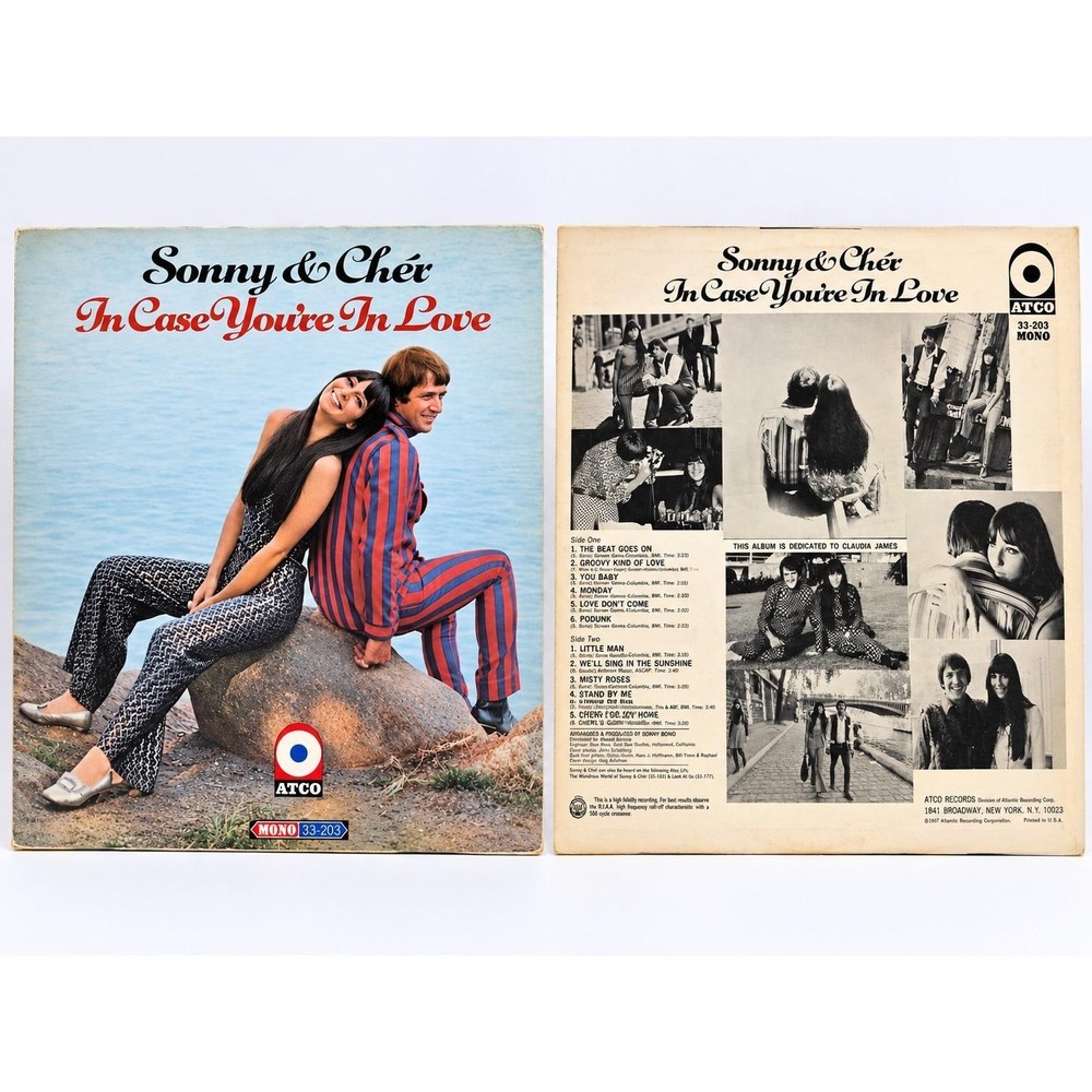 Sonny & Cher In Case You're In Love LP 1967 ATCO 33-203 MONO Vintage Vinyl